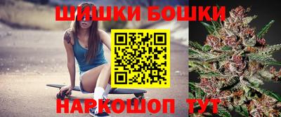 индика Рузаевка