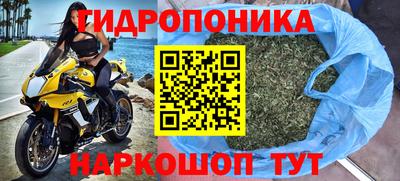 индика Рузаевка