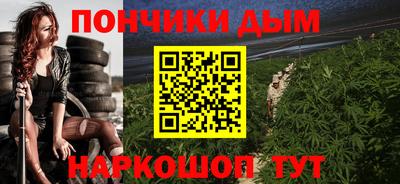 индика Рузаевка