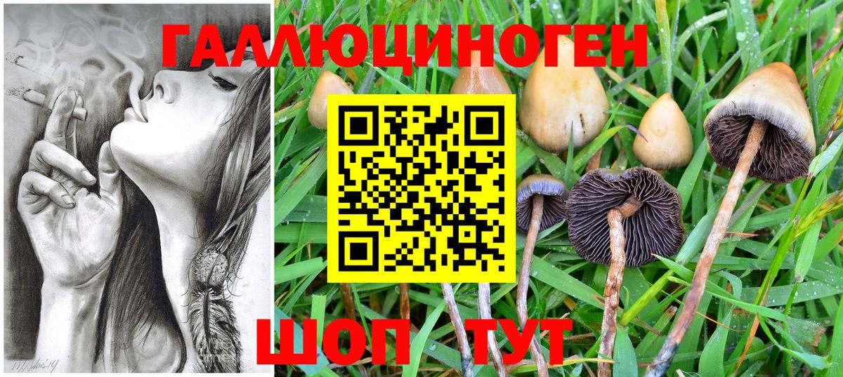 Псилоцибиновые грибы MAGIC MUSHROOMS  Вход с VPN  Ржев  Псилоцибиновые грибы Magic Shrooms 